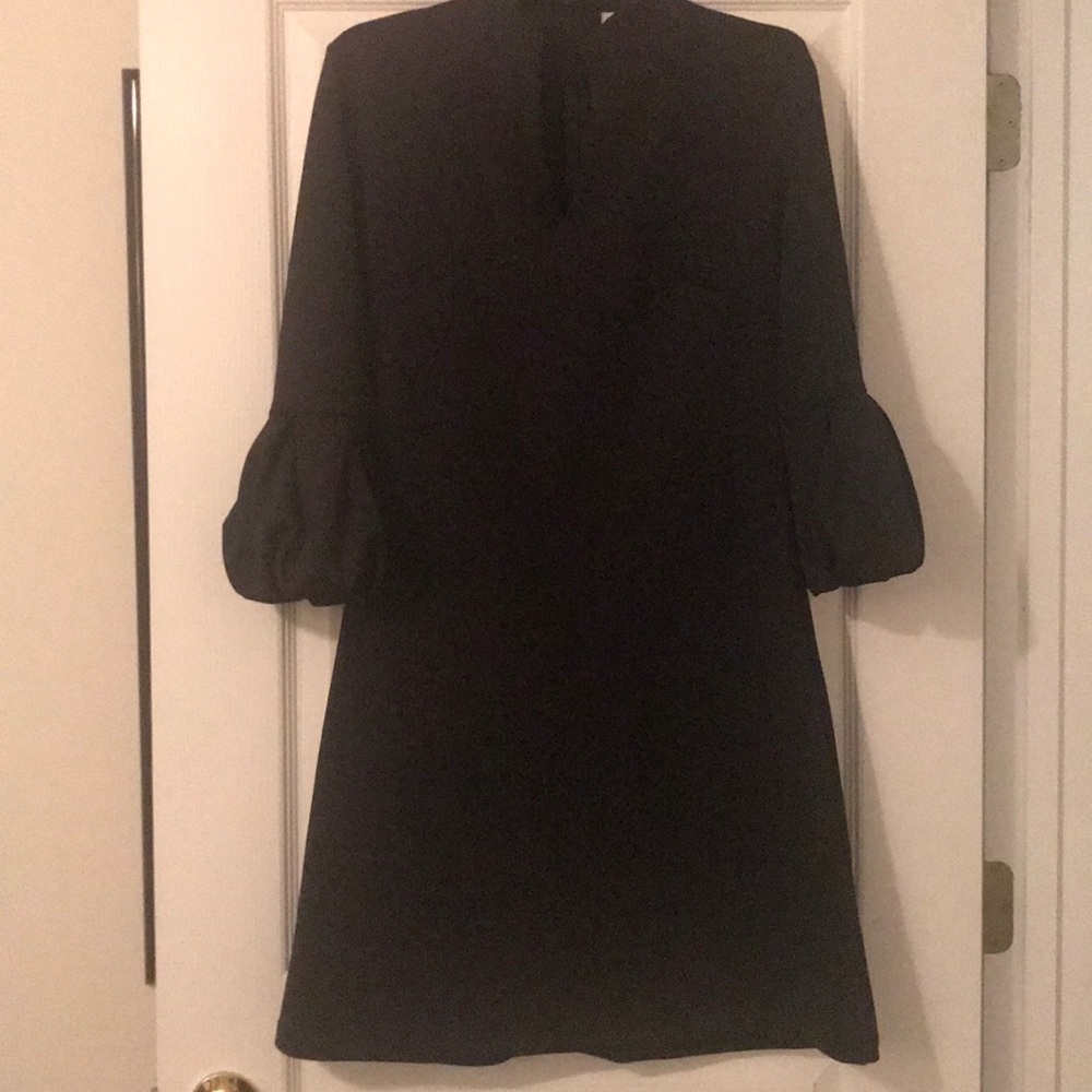 Formal/Professional Occasion Dress
